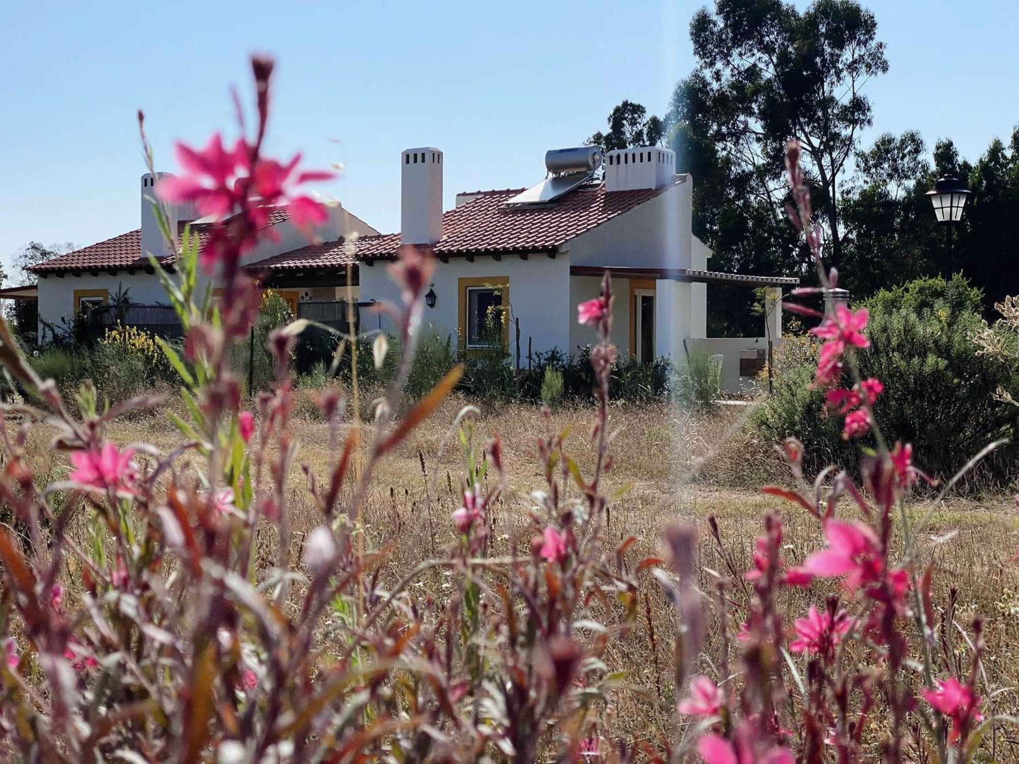 Monte Dos Cachoupos Villa เซาลูอิส ภายนอก รูปภาพ